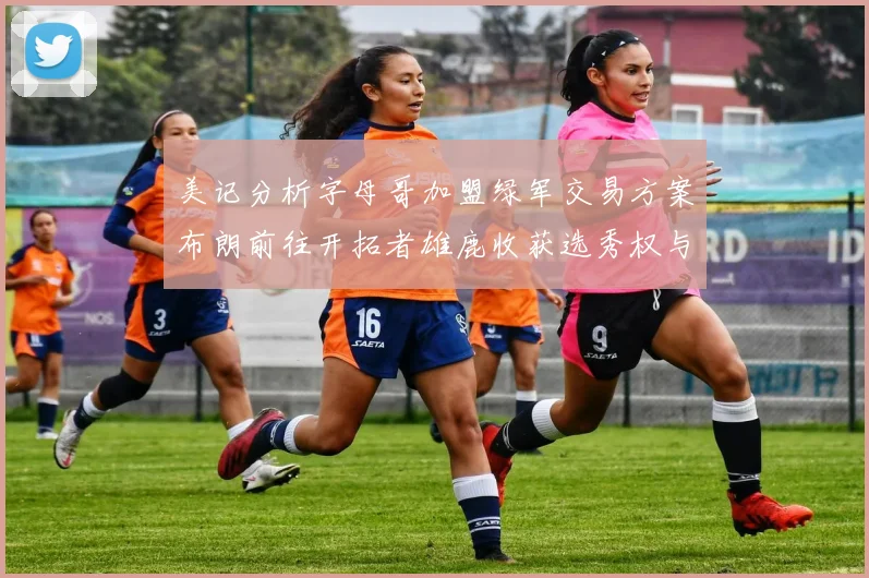 美记分析字母哥加盟绿军交易方案布朗前往开拓者雄鹿收获选秀权与年轻球员