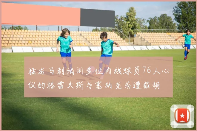 猛龙马刺试训多位内线球员76人心仪的格雷夫斯与塞纳克或遭截胡