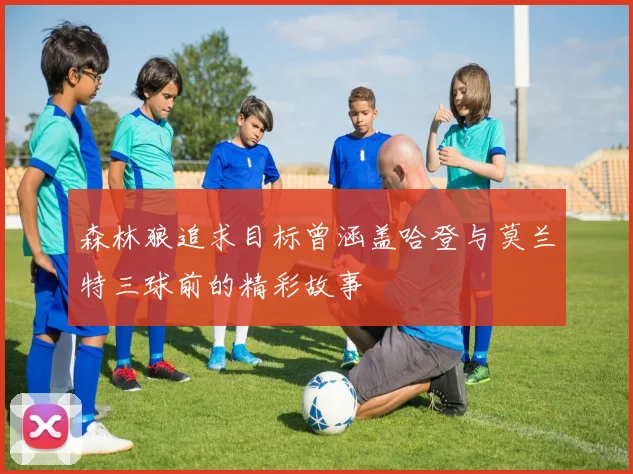 森林狼追求目标曾涵盖哈登与莫兰特三球前的精彩故事